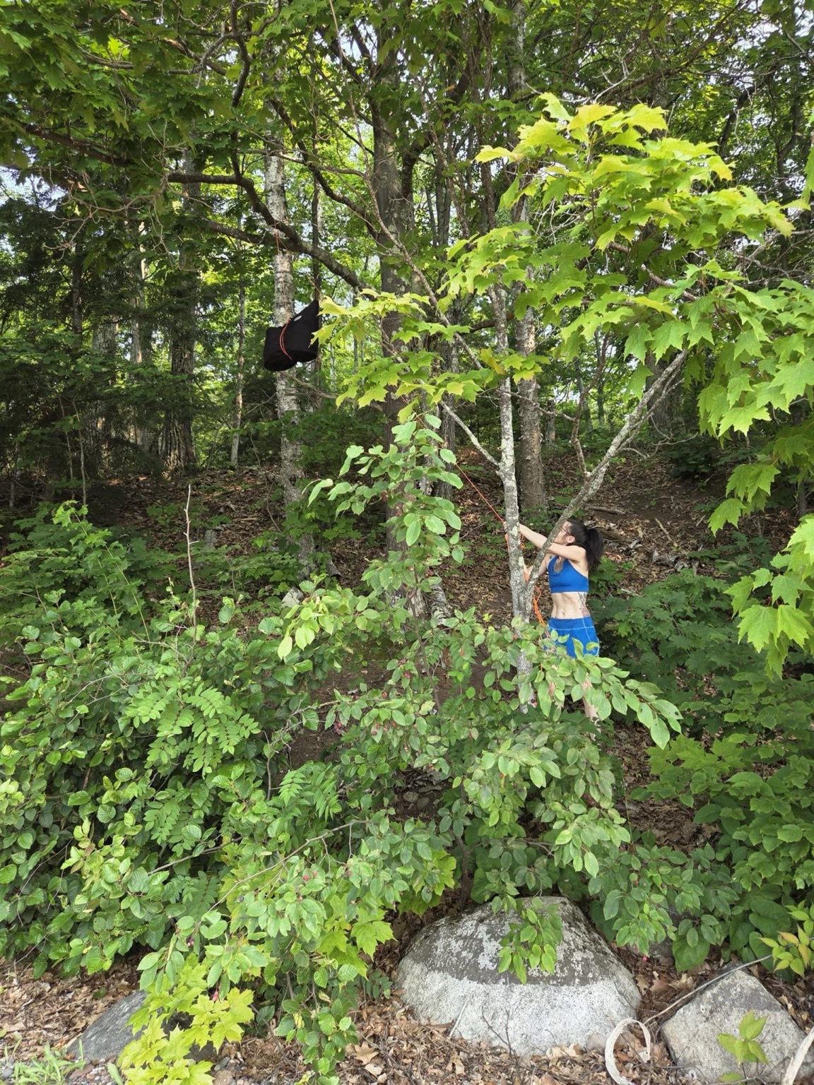 Brittany hanging a hammock in dense island greenery
